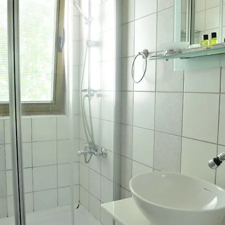 Hotel Violet Park 4*